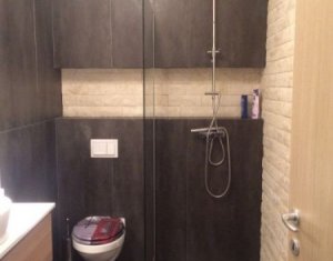 Appartement 2 chambres à louer dans Cluj-napoca, zone Andrei Muresanu