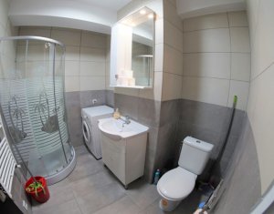 Appartement 2 chambres à louer dans Cluj-napoca, zone Intre Lacuri