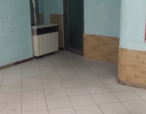 Appartement 1 chambres à louer dans Cluj-napoca, zone Centru