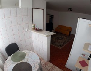 Appartement 1 chambres à louer dans Cluj-napoca, zone Gheorgheni