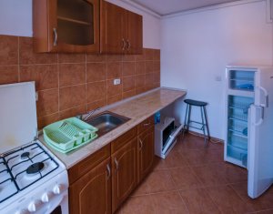 Appartement 1 chambres à louer dans Cluj-napoca, zone Plopilor