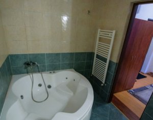 Appartement 1 chambres à louer dans Cluj-napoca, zone Plopilor