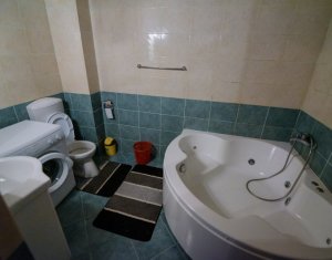 Appartement 1 chambres à louer dans Cluj-napoca, zone Plopilor