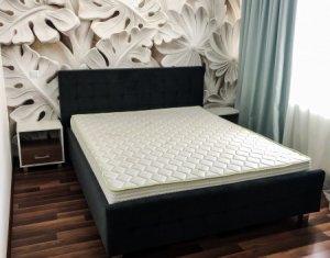 Appartement 2 chambres à louer dans Cluj-napoca, zone Iris