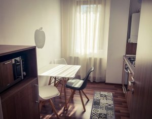 Appartement 2 chambres à louer dans Cluj-napoca, zone Iris