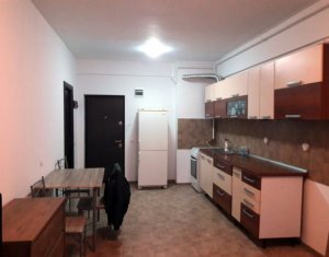 Appartement 1 chambres à louer dans Cluj-napoca, zone Iris