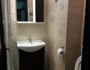 Appartement 1 chambres à louer dans Cluj-napoca, zone Iris