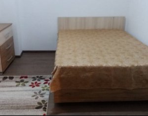 Appartement 1 chambres à louer dans Cluj-napoca, zone Iris