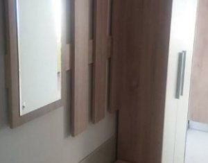 Appartement 1 chambres à louer dans Cluj-napoca, zone Iris