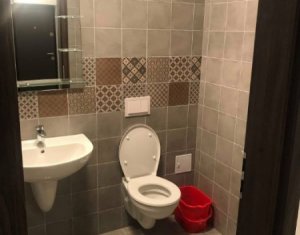 Appartement 2 chambres à louer dans Cluj-napoca, zone Borhanci