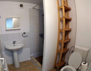 Appartement 1 chambres à louer dans Cluj-napoca, zone Marasti