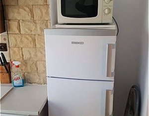 Appartement 1 chambres à louer dans Cluj-napoca, zone Centru