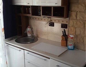 Appartement 1 chambres à louer dans Cluj-napoca, zone Centru