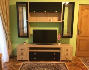 Appartement 1 chambres à louer dans Cluj-napoca, zone Andrei Muresanu