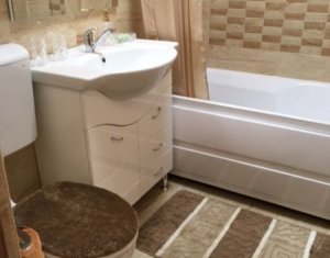 Appartement 1 chambres à louer dans Cluj-napoca, zone Andrei Muresanu
