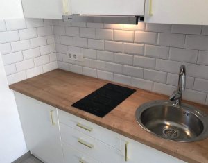 Appartement 1 chambres à louer dans Cluj-napoca, zone Centru
