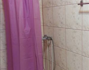 Appartement 1 chambres à louer dans Cluj-napoca, zone Iris