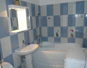Appartement 1 chambres à louer dans Cluj-napoca, zone Intre Lacuri