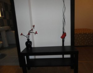 Appartement 1 chambres à louer dans Cluj-napoca, zone Intre Lacuri