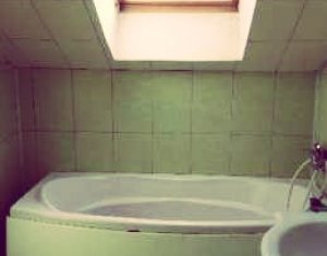 Appartement 1 chambres à louer dans Cluj-napoca