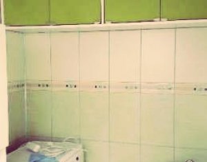 Appartement 1 chambres à louer dans Cluj-napoca