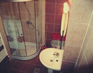 Appartement 1 chambres à louer dans Cluj-napoca