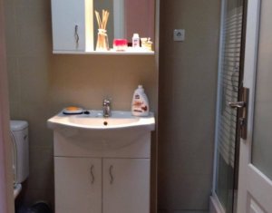 Appartement 2 chambres à louer dans Cluj-napoca, zone Iris