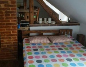 Appartement 1 chambres à louer dans Cluj-napoca, zone Centru