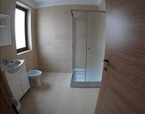 Appartement 2 chambres à louer dans Cluj-napoca, zone Andrei Muresanu
