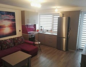 Appartement 1 chambres à louer dans Cluj-napoca, zone Intre Lacuri