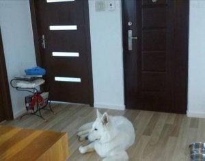 Lakás 3 szobák kiadó on Cluj-napoca, Zóna Manastur