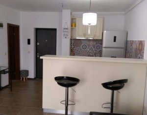 Appartement 1 chambres à louer dans Cluj-napoca, zone Andrei Muresanu