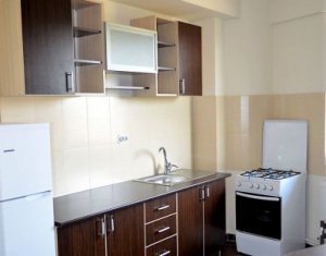 Appartement 1 chambres à louer dans Cluj-napoca, zone Marasti