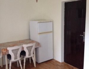 Appartement 1 chambres à louer dans Cluj-napoca, zone Intre Lacuri