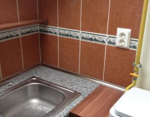 Appartement 1 chambres à louer dans Cluj-napoca, zone Intre Lacuri
