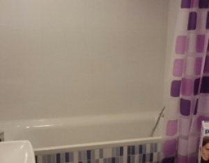 Appartement 2 chambres à louer dans Cluj-napoca, zone Intre Lacuri