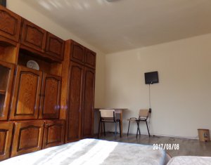 Appartement 1 chambres à louer dans Cluj-napoca, zone Centru