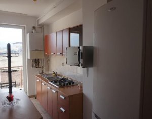 Appartement 2 chambres à louer dans Cluj-napoca, zone Buna Ziua