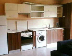 Appartement 2 chambres à louer dans Cluj-napoca