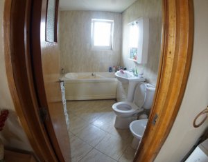 Appartement 4 chambres à louer dans Cluj-napoca, zone Grigorescu