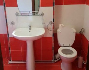 Appartement 3 chambres à louer dans Cluj-napoca, zone Grigorescu