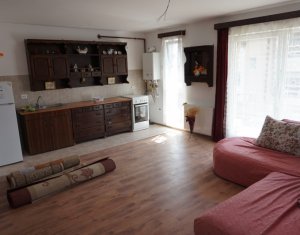 Appartement 2 chambres à louer dans Cluj-napoca