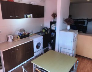 Appartement 2 chambres à louer dans Cluj-napoca, zone Marasti