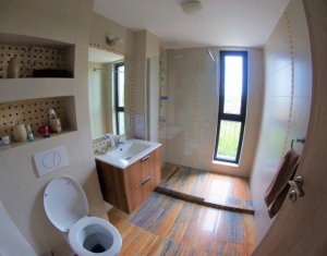 Appartement 2 chambres à louer dans Cluj-napoca, zone Borhanci