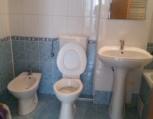 Appartement 1 chambres à louer dans Cluj-napoca, zone Plopilor