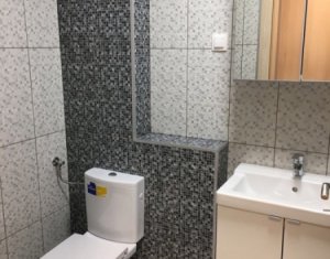 Lakás 1 szobák kiadó on Cluj-napoca, Zóna Iris