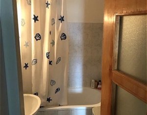 Appartement 1 chambres à louer dans Cluj-napoca, zone Zorilor