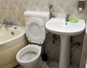 Appartement 1 chambres à louer dans Cluj-napoca, zone Centru