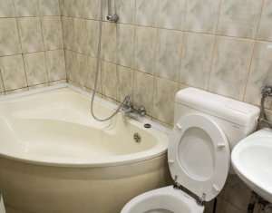 Appartement 1 chambres à louer dans Cluj-napoca, zone Centru