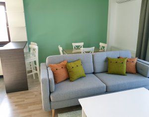 Appartement 2 chambres à louer dans Cluj-napoca, zone Europa